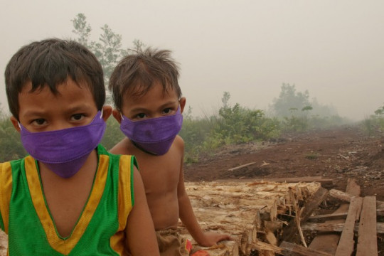 Regardless of the factors that cause forest and land fires, especially in peatlands, people are the first to be directly affected. © Aulia Erlangga/CIFOR