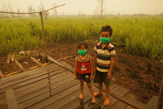 Children fell victim to the great fire in 2015. © Aulia Erlangga/CIFOR