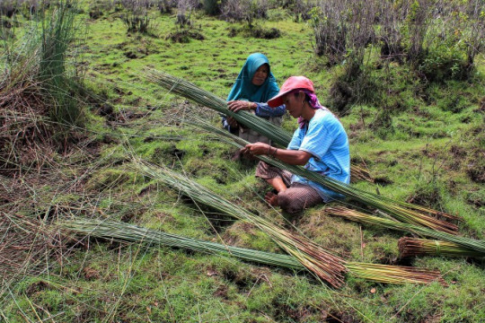 Siti Juleha (45) and Rasiah (55) sit and rest while cleaning the purun they have just harvested from the Bararawa Village fields. © Raras Cahyafitri