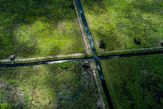 Canal on peatland area in Mendawai village, Katingan, Central Kalimantan. © Nanang Sujana/CIFOR