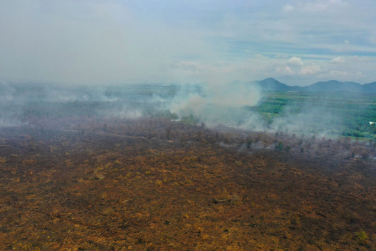 Karhutla di Kalimantan Barat pada April 2026 (©Walhi Kalbar)