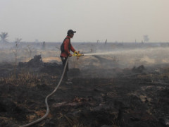 The forest and land fire task force attempting to extinguish a fire in PT ATGA concession peatland in 2019 ©KKI-Warsi
