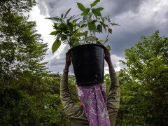 Interventions for food issues should not be carried out in ways that pose environmental, economic, and health risks. Photo by Kemal Jufri for WRI Indonesia.