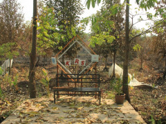 Sriwijaya Botanical Garden ©Parliza Hendrawan