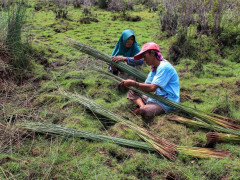 Siti Juleha (45) and Rasiah (55) sit and rest while cleaning the purun they have just harvested from the Bararawa Village fields. © Raras Cahyafitri