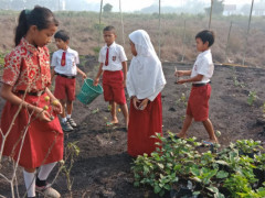 Introductory environmental lessons for the students of SDN Suka Makmur ©Malinda