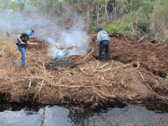 The author was trying to extinguish peat fires in Teluk Makmur Village, Riau, in early 2019. ©Pantau Gambut