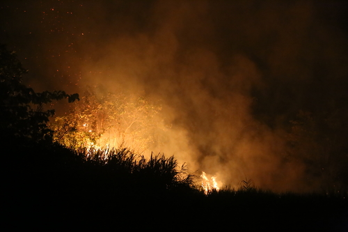 Peatland on fire ©Feri Irawan