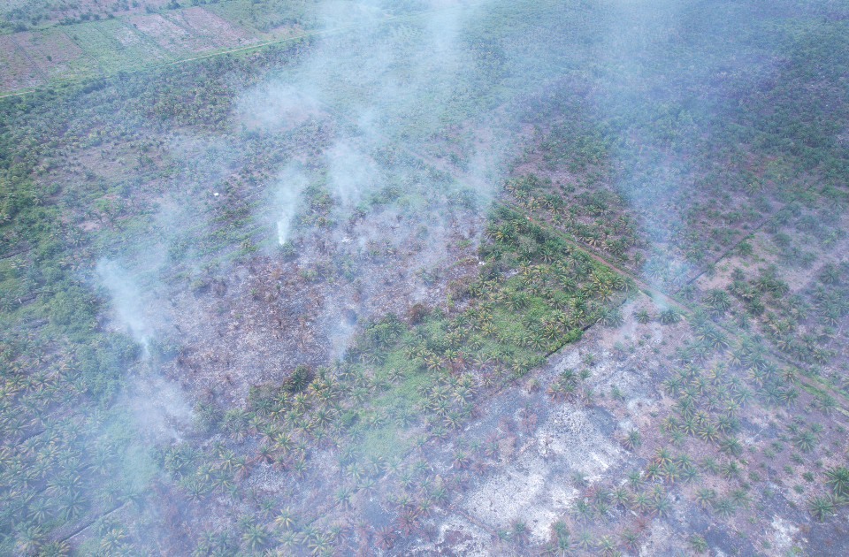 Land and forest fire in Aceh, August 2026 ©Apel Green Aceh