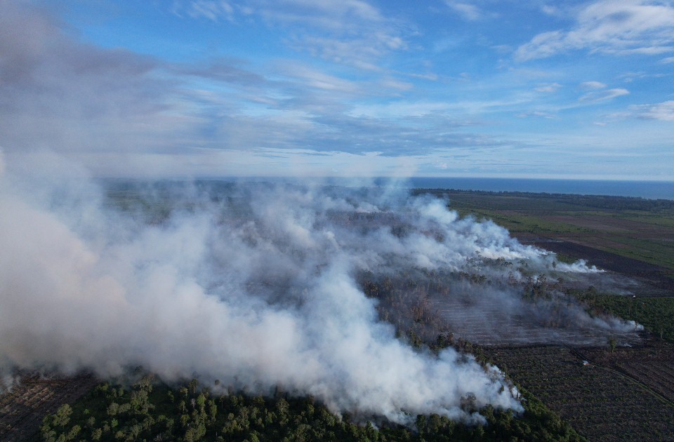 Kebakaran hutan dan lahan (karhutla) di Ekosistem Rawa Tripa ©Apel Green Aceh