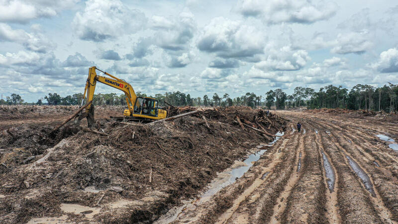 An excavator doing a land clearing activity at forest zone area that will be used as food plantation area for Food Estate project in Sepang, Gunung Mas ©Muhamad Habibi / Save Our Borneo / Greenpeace