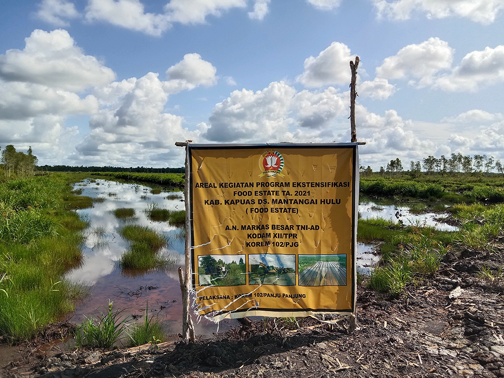 Areal kegiatan program ekstensifikasi Food Estate di Kab. Kapuas ©WALHI Kalteng 2023