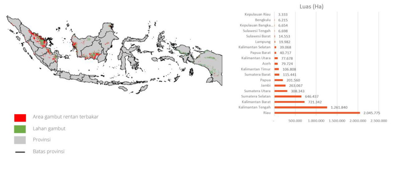 Gambar 4. Gambar Area rentan terbakar berdasarkan tutupan lahan dan luas area rentan terbakar per provinsi