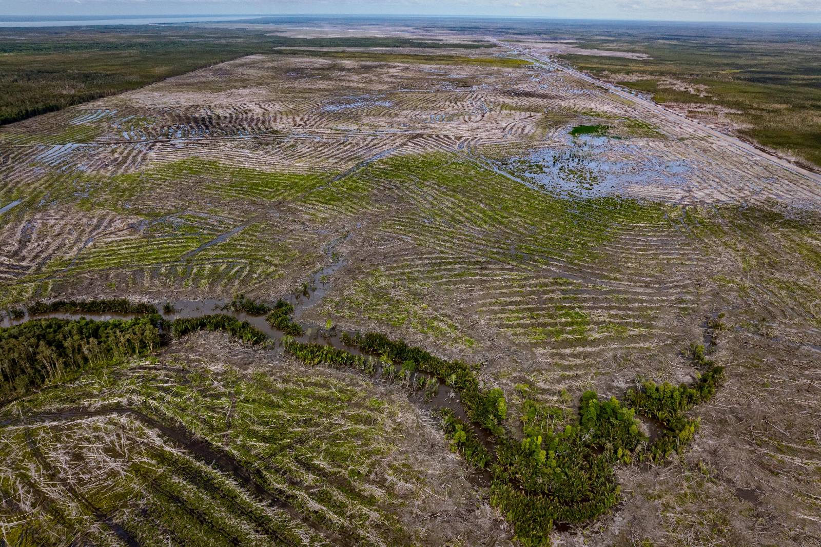 Deforestation in South Papua ©Pusaka Bentala Rakyat/Gecko Project