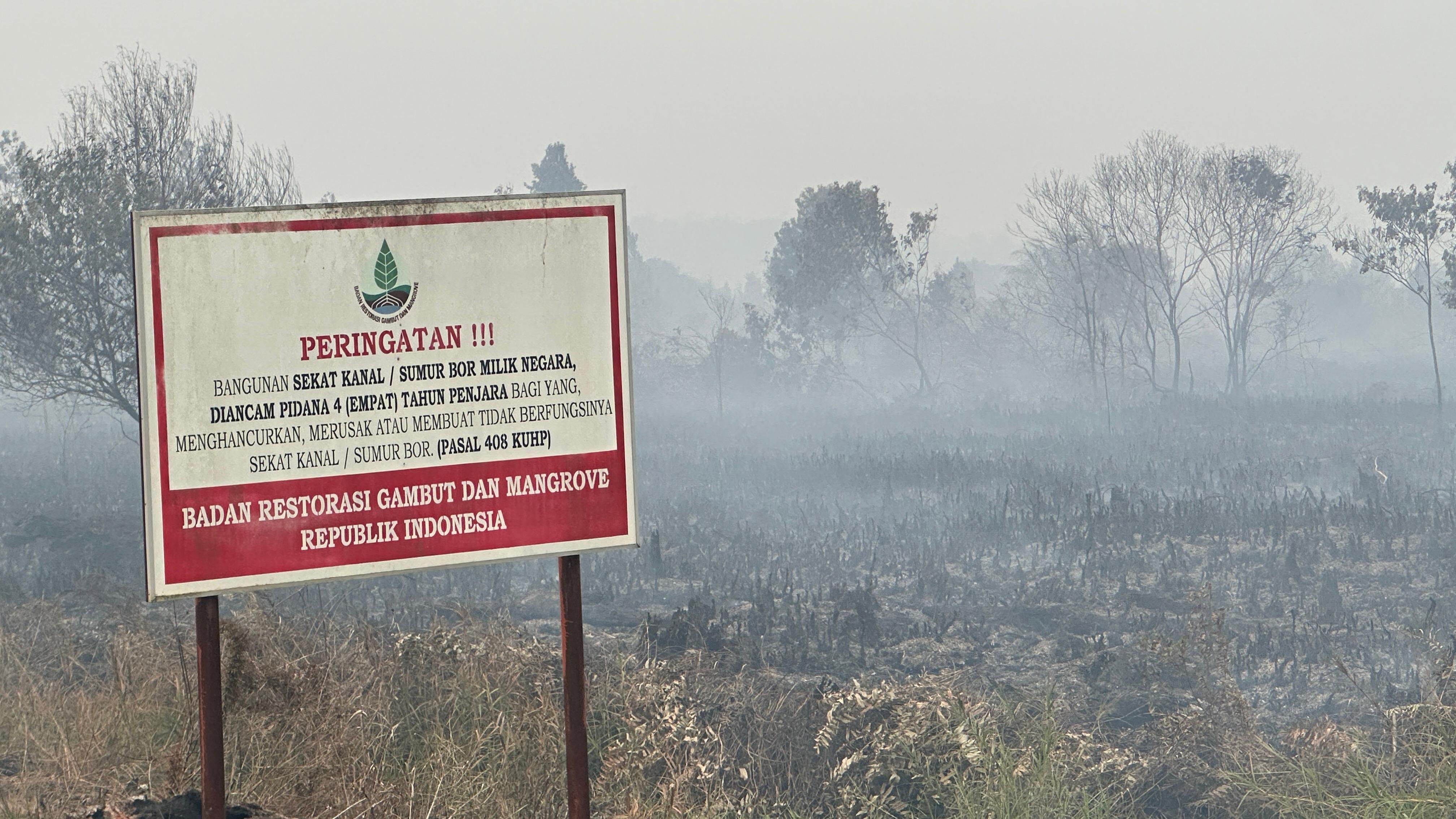 BRGM intervention land burned in Jambi, August 2026 ©Perkumpulan Hijau Jambi