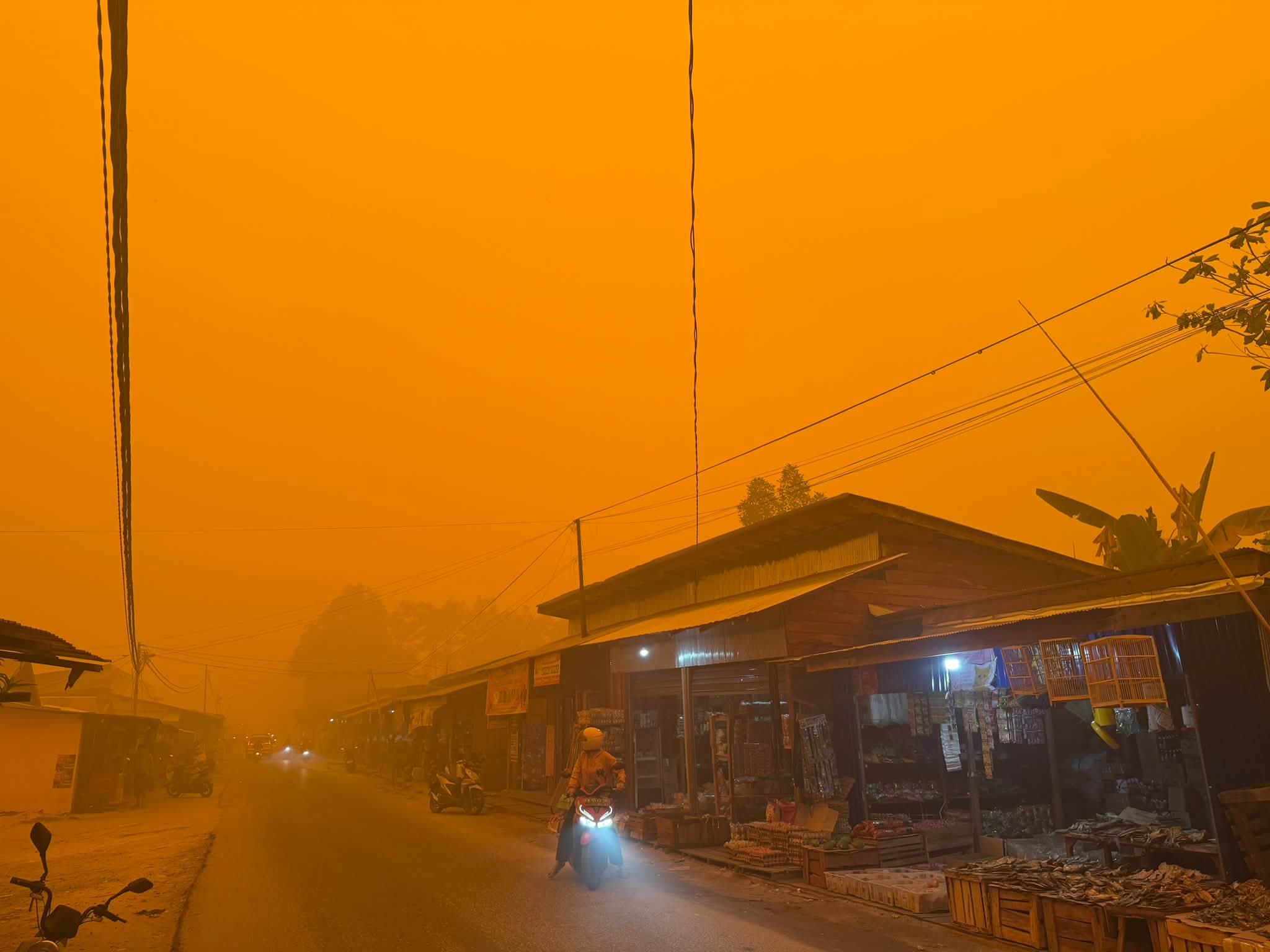 Suasana siang hari di Kabupaten Kapuas, Kalimantan Tengah, 13 Oktober 2026 ©WALHI Kalteng